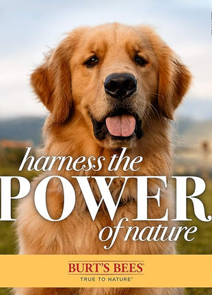 Burt's Bees for Pets Multipurpose Dog Wipes with with Honey, 98% Natural Origin Formulas, Hypoallergenic Dogs Wipe, Canine Cleaning Sheets for Paws and Butt, 2pk, 50ct