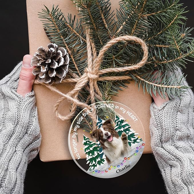 Pavo Personalized Picture Frame Pet Memorial Gifts for Dogs, Cats, Pets - Personalized Decorative Hanging Ornaments 4–6 Inches, Loss of Dog Sympathy Gift, Cat Memorial Gifts for Loss of Cat