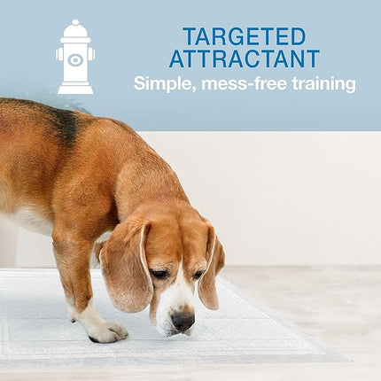 Four Paws Wee-Wee Super Absorbent Unscented Pee Pads for Dogs & Puppies with Insta-Rise Border, Leak-Proof Dog Housebreaking Potty Training Floor Protection, 22" x 23", 10 Count (Pack of 3)