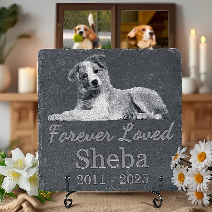 Pet Memorial Stone, Dog Memorial Stone, Dog Memorial Gifts for Loss of Dog, Pet Memorial Gifts, Loss of Pet Sympathy Gift, in Loving Memory Pet - Forever Loved - Square