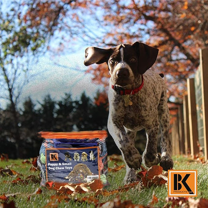 Puppy Toys, Box of 13 Puppy Dog Rope Chew Toys Designed for Playtime, Made for Chewing, Teething, and Calming Anxiety in New Puppies and Small Dogs, Bundle Includes a BONUS Storage Bag