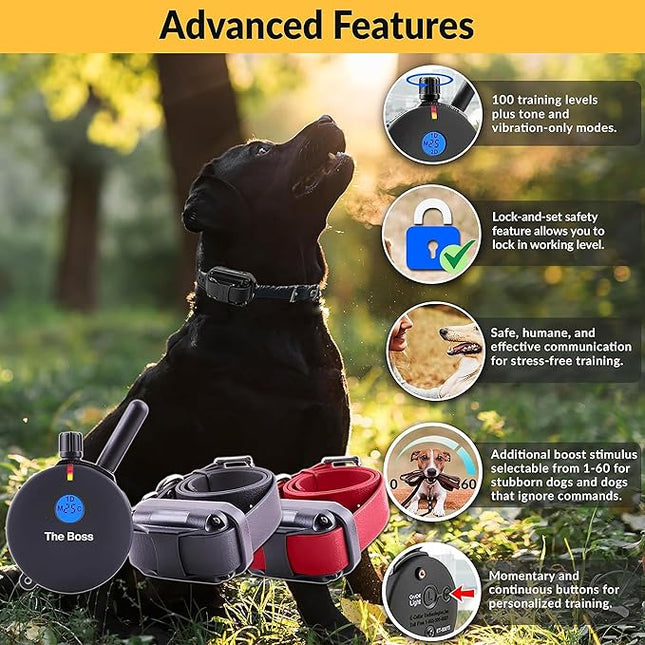 Educator E-Collar Humane Dog Training Collar with Remote, Features 100 Levels of Safe Stimulation, Tapping Sensation, Night Light, Waterproof, Rechargeable, 1 Mile 1 Dog, Black