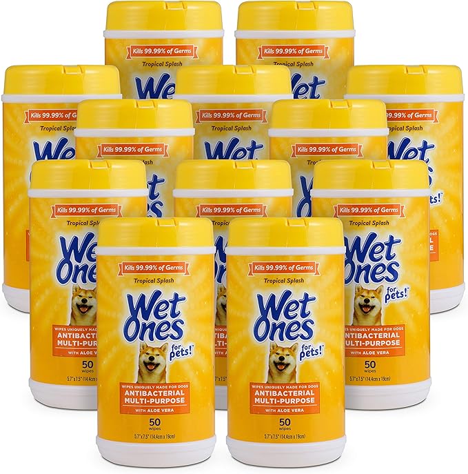 Wet Ones for Pets Multipurpose Dog Wipes with Aloe Vera, Tropical Splash Scent - Pet Bathing Wipes in Canister for Dog Paws & All Over Use, 50 Count - 12 Pack