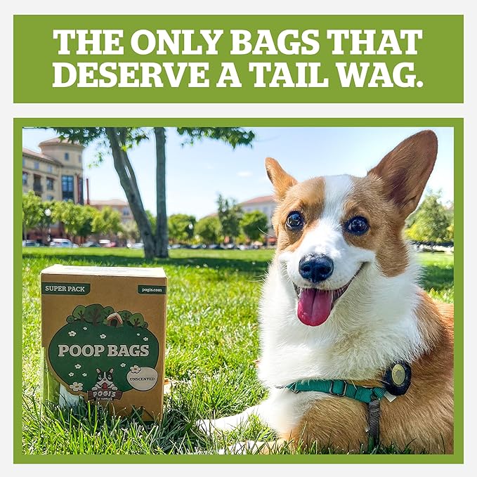 Pogi's 300 Unscented Dog Poop Bags with Handles - Earth-Friendly, Leak-Proof, Ultra Thick, 4+ Month Supply