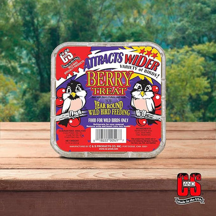 C&S Berry Suet Treat, Wild Bird Food for Robins, Blue Jays, Bluebirds, Tanagers, Thrushes and More, 8 Pack
