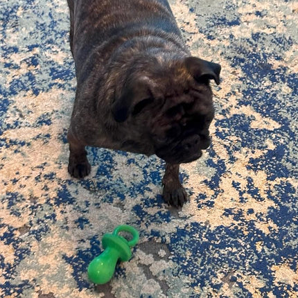 SPOT Puppy Pacifier Latex Dog Toy – Cute Binky-Shaped Chew Toy for Teething Puppies & Small Dogs, Best for Light Chewers, Durable & Non-Toxic with Squeaker, 4.5” – Assorted Colors