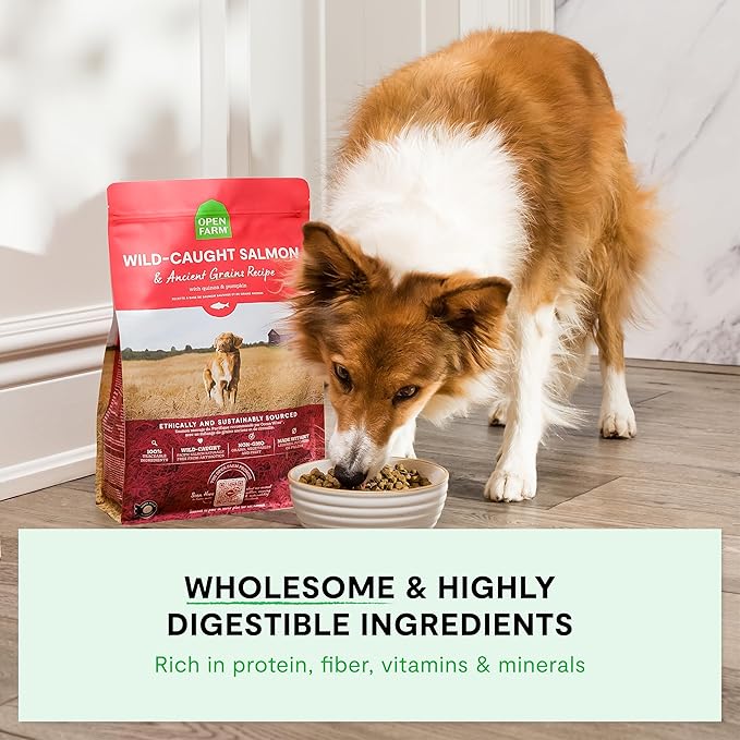 Open Farm, Ancient Grains Dry Dog Food, Protein-Rich & Nutrient Dense, 90% Animal Protein Mixed with Non-GMO Fruits, Veggies and Superfoods, Farmer's Table Pork Recipe, 11lb Bag