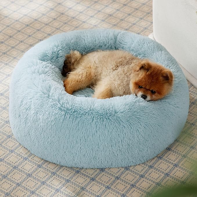 Bedsure Calming Dog Bed for Small Dogs - Donut Washable Small Pet Bed, 23 inches Anti-Slip Round Fluffy Plush Faux Fur Large Cat Bed, Fits up to 25 lbs Pets, Aqua Blue