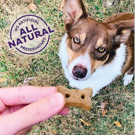 Old Mother Hubbard Wellness P-Nuttier 'N Nanners Dog Biscuits, Natural, Training Treats, Peanut Butter & Banana Flavor, Mini Size, (16 Ounce Bag)