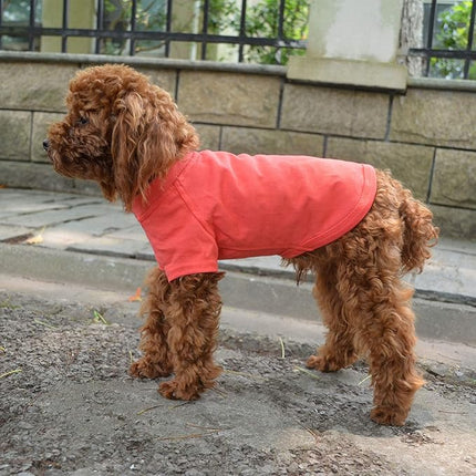 Lovelonglong 2019 Pet Clothing Dog Costumes Basic Blank T-Shirt Tee Shirts for Small Dogs Lobster Pink XS