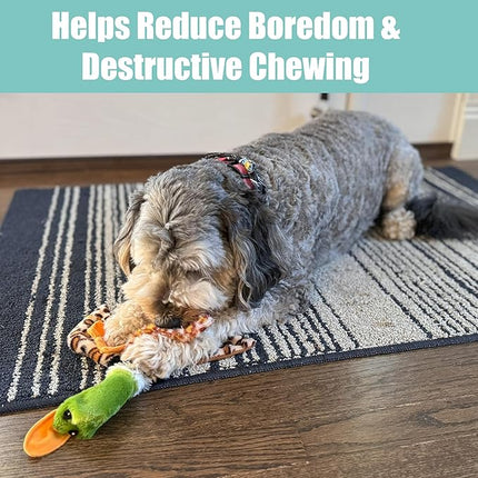 SPOT Skinneeez Mini Mallard Duck 13 Inch Stuffing-Free Plush Squeaky Dog Toy – Soft Interactive Toy for Small and Medium Dogs – Mess-Free Play for Light & Moderate Chewers – Assorted Styles