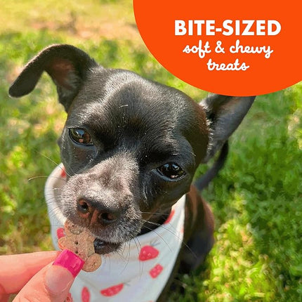 Buddy Softies Soft & Chewy Dog Treats, Peanut Butter, 20 oz. Jar
