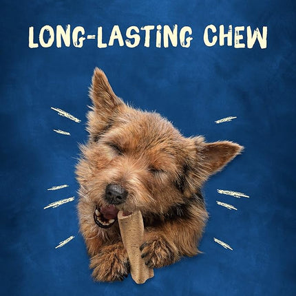 Purina Busy Made in USA Facilities Small Breed Dog Bones, Mini - (Pack of 2) 12 ct. Pouches