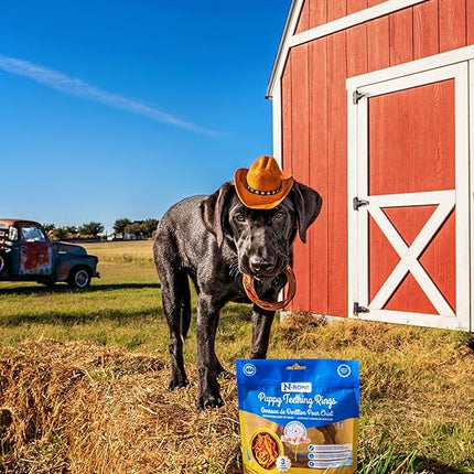N-Bone Puppy Teething Rings Taste of Texas Chicken Fajitas Flavor 3 Count