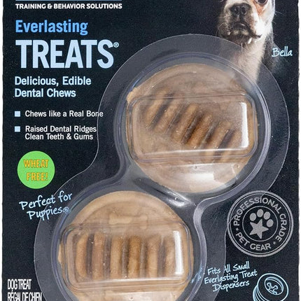 Everlasting Treat Small Chicken Usa