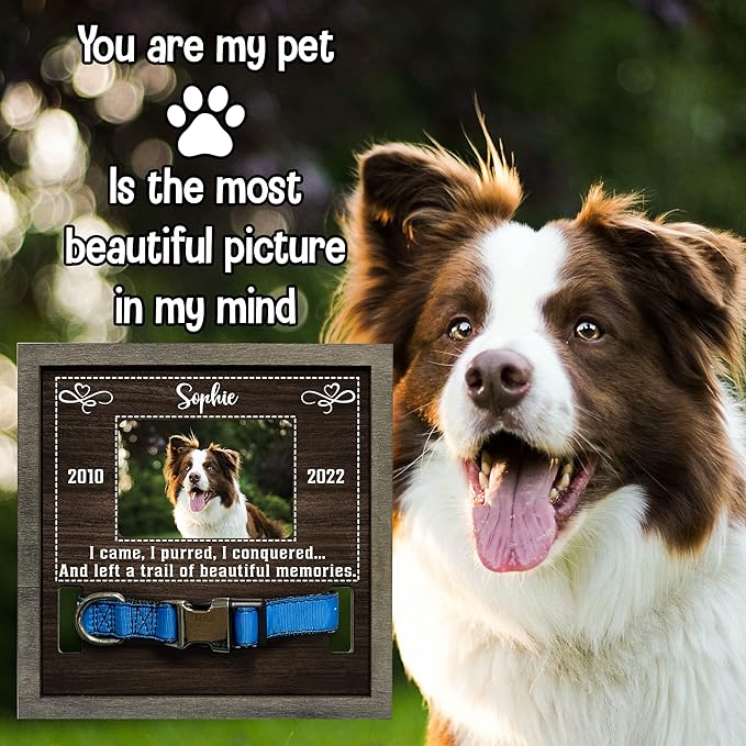 Customized Dog Picture Frames for Dogs That Passed Personalized Dog Gifts for Pets Dog Memorial Frames Pet Photo Frames and Memorials Loss of Dog Gifts Rainbow Bridge Pet Memorial Gifts