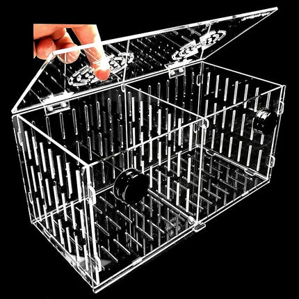 Magnetic Acclimation Box fish Breeder Nursery isolation Tank