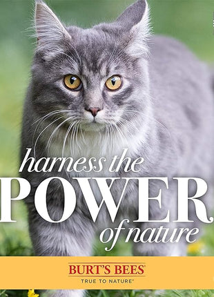 Burt's Bees for Pets Waterless Cat Grooming Spray with Shea Butter and Honey, 99.3% Natural Origin Formulas, Dry Shampoo, Kitten Supplies, 10oz