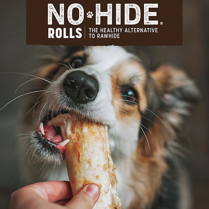 Earth Animal No-Hide Rolls Mango Vegetarian Recipe Small Natural Rawhide Alternative Dog Chews - 6 Count Value Pack