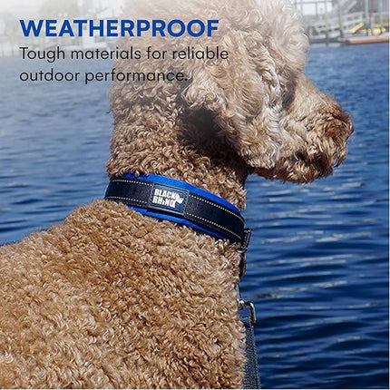 Black Rhino Dog Collars for Medium Dogs - Adjustable Reflective Heavy Duty Dog Collar with Ultra-Soft Neoprene Padding - Weatherproof, Durable, and Comfortable for Active Dogs - Sport Blue and Black