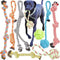 Dog Apparel & Accessories
