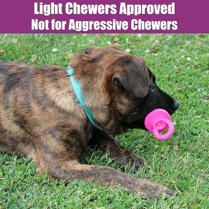 SPOT Puppy Pacifier Latex Dog Toy – Cute Binky-Shaped Chew Toy for Teething Puppies & Small Dogs, Best for Light Chewers, Durable & Non-Toxic with Squeaker, 4.5” – Assorted Colors