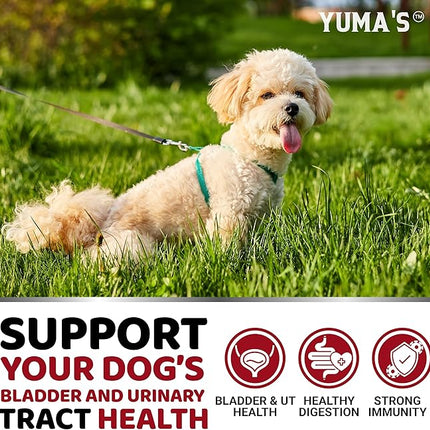 Dog UTI Treatment - 170 Treats - Cranberry Supplement for Dogs - Bladder Control - Urinary Tract Treatment - UTI Multivitamin - Vitamins and Supplements - Made in USA