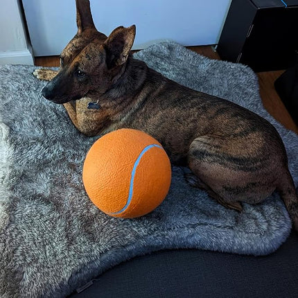 9.5" Large Dog Tennis Balls, 2 Pack Interactive Pet Toys for Playing Training Outdoor Indoor, Oversize Rubber Inflatable Dog Ball with Pump & Needle for Small Medium Large Dogs