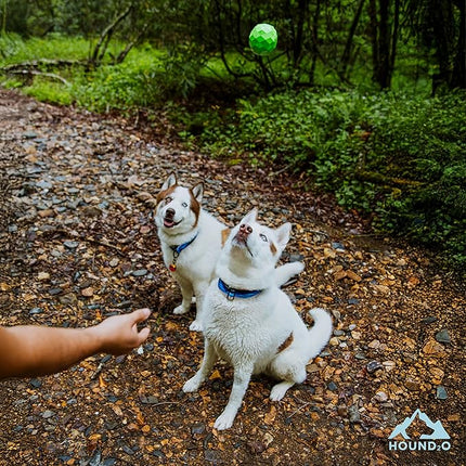 Hound2O Dog Toys | Squeaky Fetch Ball for Dogs | Green Floating Outdoor Toy - Easy to Clean and Made from Non Toxic Materials
