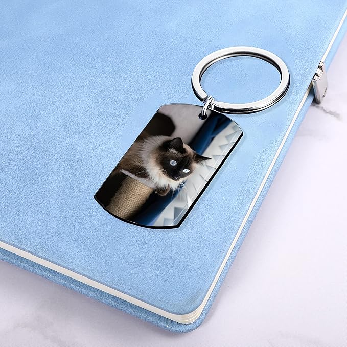 Funnylife Personalized Pet Memorial Keychain for Cats Stainless Steel Custom Cat Photo Keychain Pet Memory Keepsake Loss of Cat Sympathy Gifts