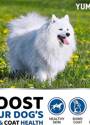 Omega 3 Fish Oil for Dogs - 170 Chews - Skin and Coat Supplement - Omega 3 for Dogs - Dry & Itchy Skin Relief Treatment - Allergy Support Dog Anti Shedding Treats - Salmon - EPA & DHA - Chicken Flavor