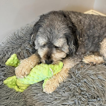 SPOT Skinneeez Extreme Stuffers Frog - Stuffing Free Dog Toy With Squeaker & Rip Stop Mesh Lining for Durability - Insert Plastic Bottle for Extra Crunch, For Small to Medium Puppies & Dogs - 14in