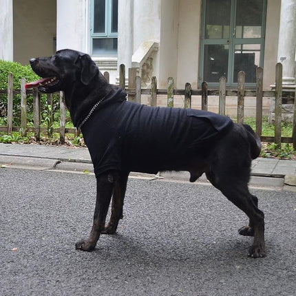 Lovelonglong Blank Basic Hoodie Sweatshirt for Dogs 100% Cotton Fits Small Medium Dachshund Large Dog Black S