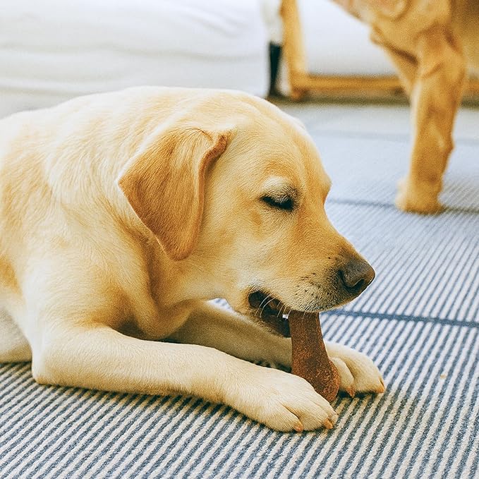 Wholesome Pride Natural & Healthy Dog Chews 2Pk for Large Dogs, Bacon Flavor, Made in The USA