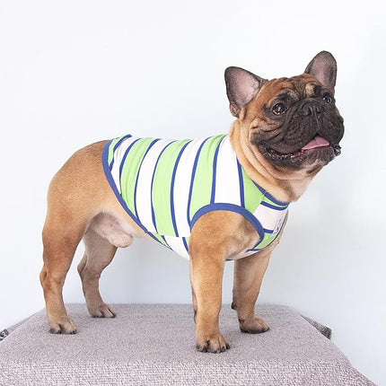 iChoue English Bulldog T Shirts 100% Cotton Striped Clothes for Medium Dogs Tank Tops Vest Large French Frenchie Pug Boston Terrier Pitbull Summer Green Stripes - XL