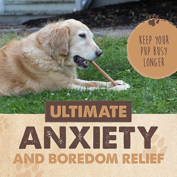 Mighty Paw Naturals Bully Sticks for Dogs - Grass Fed Beef Dog Chews. Pets Stick for Large Dogs, Medium and Small Breeds. Lower Odor Bully Treats for Small Pets. Single Ingredient (6" - 25 Pack)