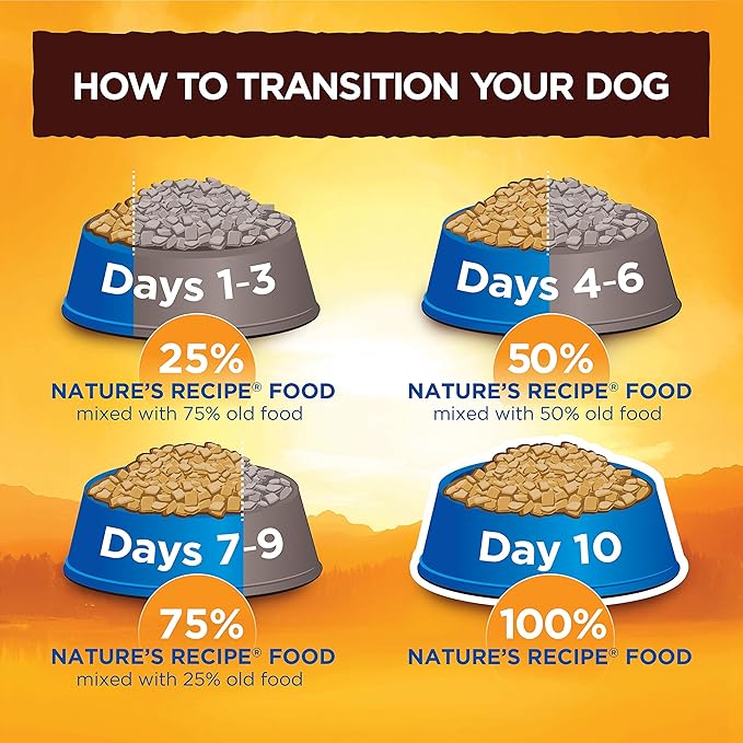 Nature′s Recipe Grain Free Salmon, Sweet Potato & Pumpkin Recipe Dry Dog Food, 4 lb. Bag (Pack of 2)