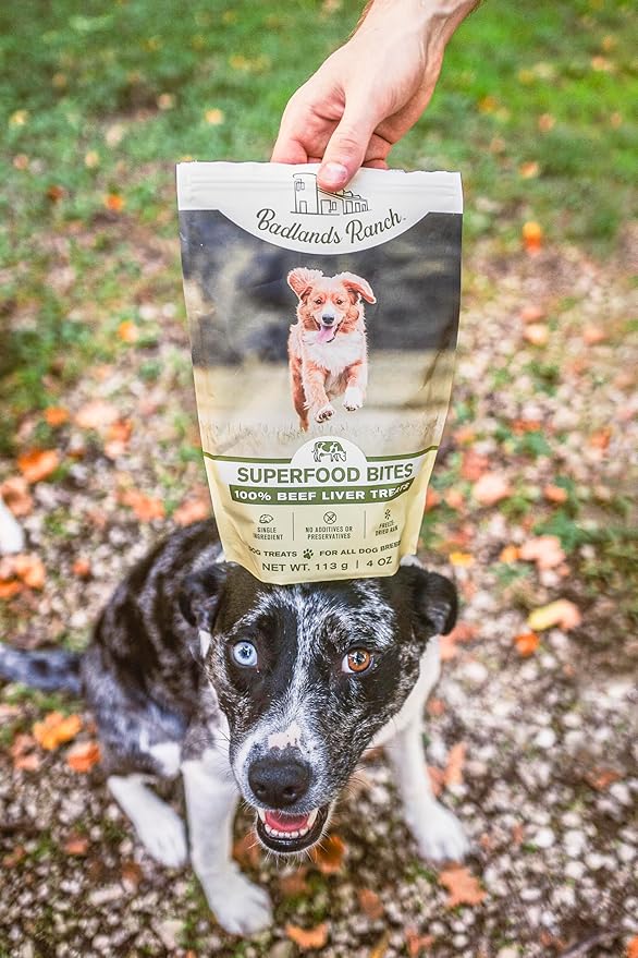 Superfood Bite, Freeze-Dried Raw Dog Treats - Protein Rich, Train & Reward, Traceable Single Ingredient by Katherine Heigl (Beef Liver)