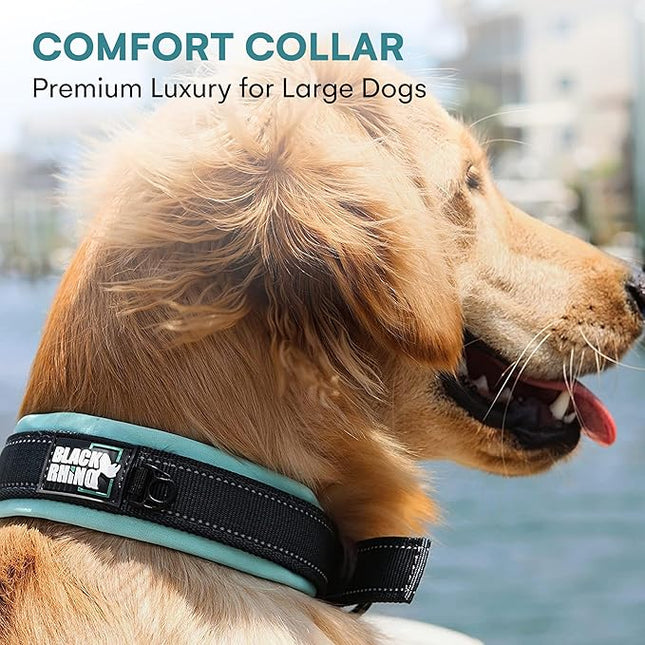 Black Rhino Dog Collar for Large Dogs - Adjustable Reflective Heavy Duty Collar with Ultra-Soft Neoprene Padding - Weatherproof, Durable, and Comfortable - Ideal for Active Dogs - Aqua and Gray