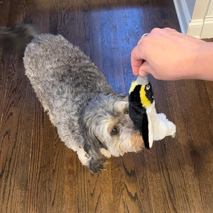 SPOT Skinneeez Plus Penguin - Stuffing Free Dog Toy with Two Piece Rubber Body and Two Squeakers, Fun to Bite, Stuffingless Design is Great for Moderate Chewers, Tug Toy for Puppies & Dogs - 15in