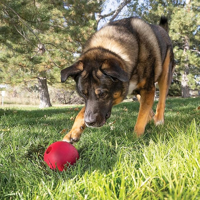 KONG Ball with Hole - Durable Dog Fetch Toy for Training, Interactive Playtime & More - Classic Natural Rubber Ball - Red - for Large/X-Large Dogs