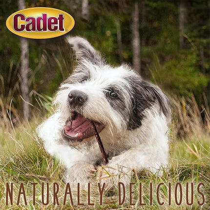 Cadet Premium Grade Beef Hide for Dogs, Long-Lasting Munchy Chew Sticks, Single-Ingredient Rawhide Dog Chews, 5-Inch, 100 Count