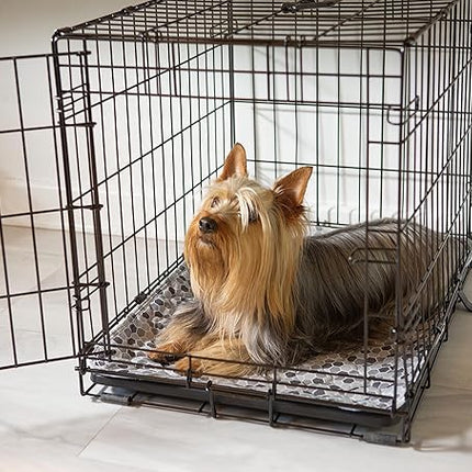 Caldwell's Pet Supply Co. 20x30 Washable Pee Pads for Dogs, Reusable Pee Pad for Dogs, Puppy Potty Mat, Whelping Rug, Reusable Puppy Mat, Waterproof Rug for Dog of All Breeds, Small (Set of 2)