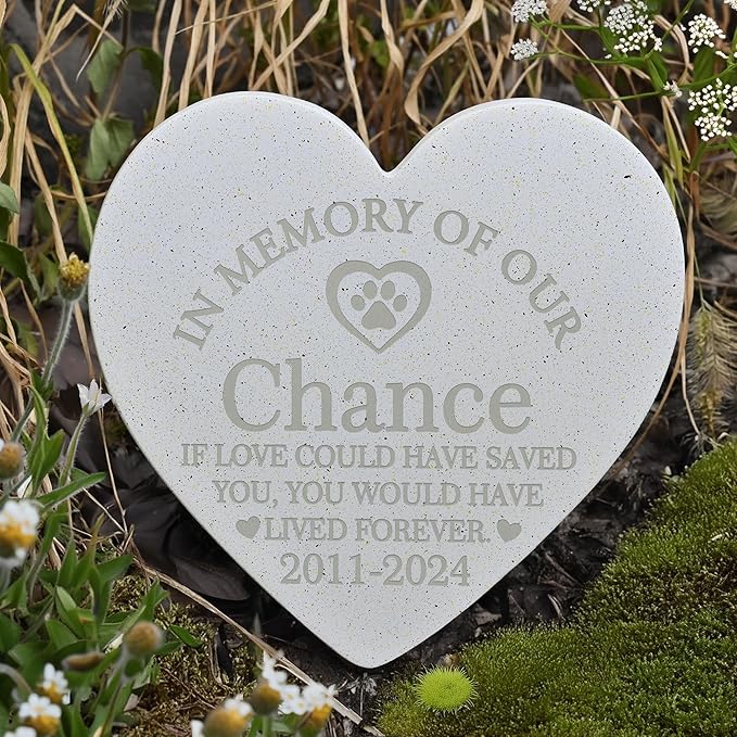 Personalized Pet Stone | Pet Memorial Stone | Dog Memorial Stone | Pet Memorial Gift | Pet Loss Gift | Pet Memorial | Dog Memorial | Cat Memorial | Loss of a Dog - Lived Forever