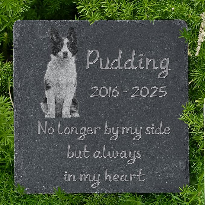 Personalized Pet Memorial Stone, Dog Memorial Gifts, Pet Loss Sympathy Gift, in Memory of Dog Cat - Always in My Heart（Square）