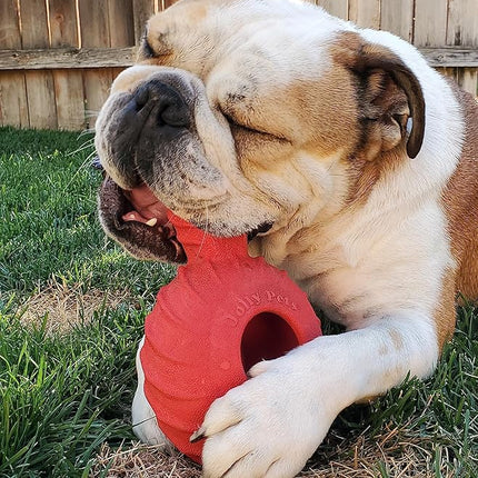 Jolly Pets Tuff Treader Dog Toy with Handle, 6 Inches, Red, Model:JTR23, All Breed Sizes