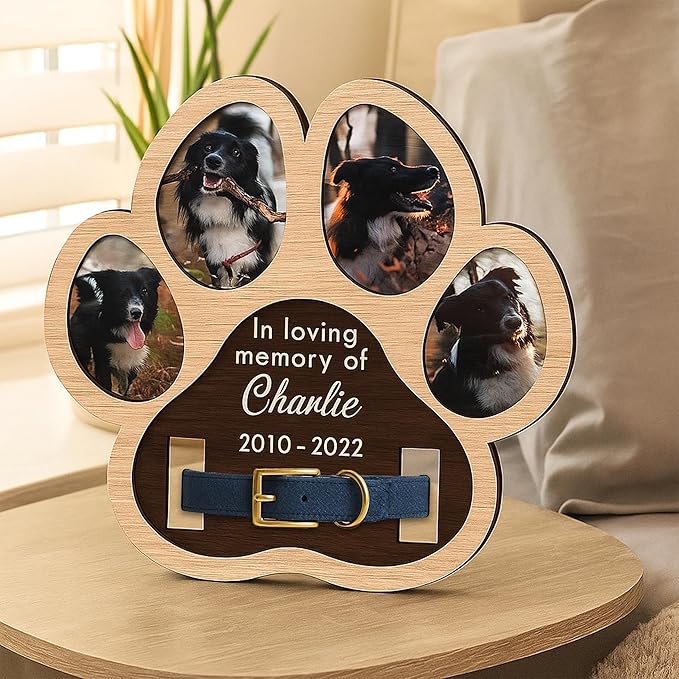 Nazenti Pet Bereavement Collar Frame, Custom Dog or Cat Memorial Frame with Pets Name, Sympathy Keepsake for Cat Loss, Pet Memorial Gift for Grieving Owners, Loss Of Dog Sympathy Gift