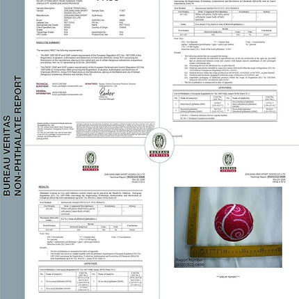 AMA SPORT Squeaky Tennis Balls for Dogs 4 Pack 2.5" Squeaky Tennis Balls for New Puppy Small Medium Dog Toys for Fetch, Exercise, Outdoor Play