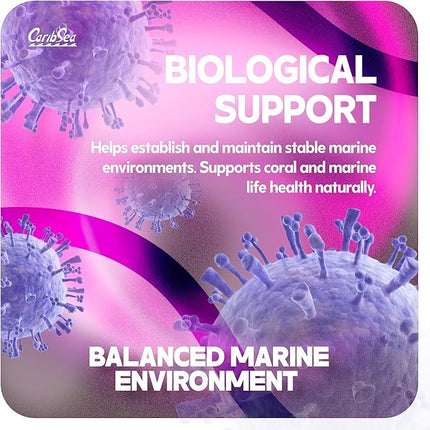 Carib Sea Life Rock Arches for Aquariums