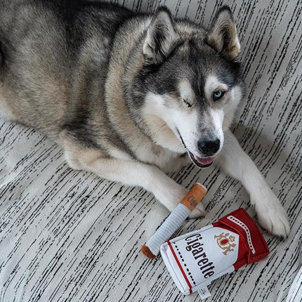 Nocciola 3 Packs Giggle Puff Stick Toys with a Box, Funny Interactive Giggle Sound Plush Dog Toys, Pitbull Husky Frenchie No Stuffing Puppy Toys for Small to Medium Breed, Dog Accessories Boy Gift